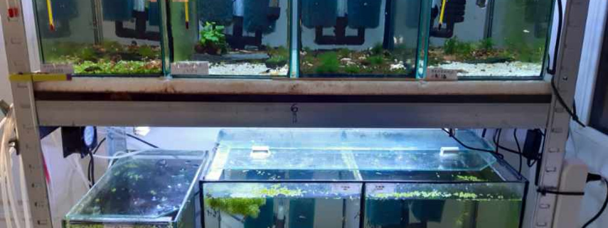 aquarium PORTELLI
