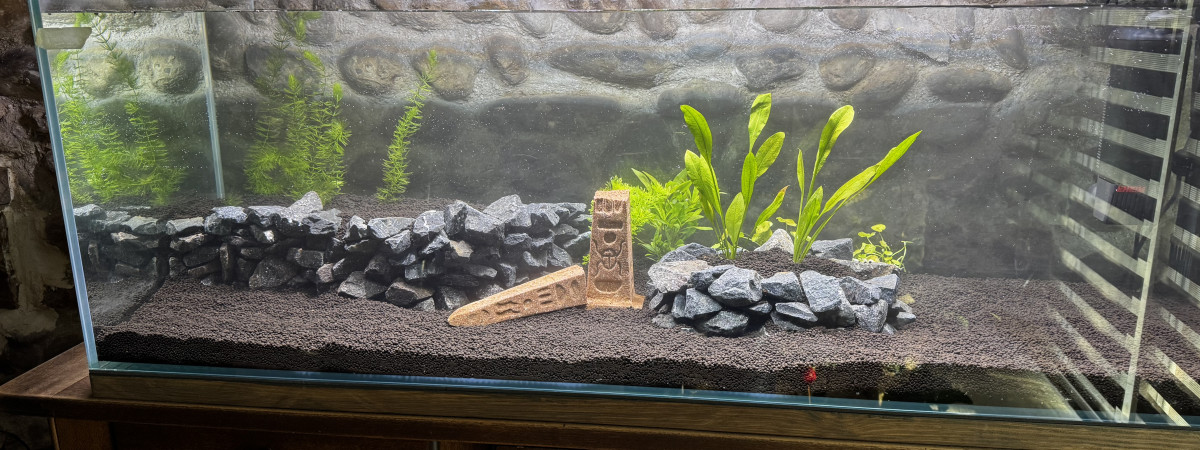 aquarium Lolo
