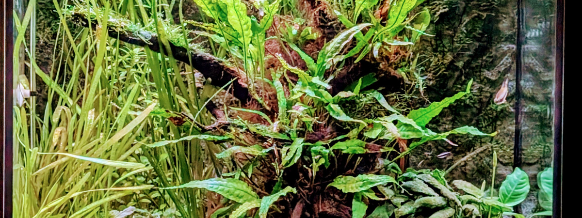 aquarium Lido 120 Led