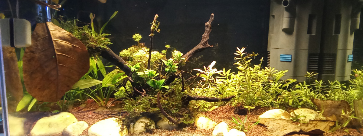 aquarium LeFranbodgien
