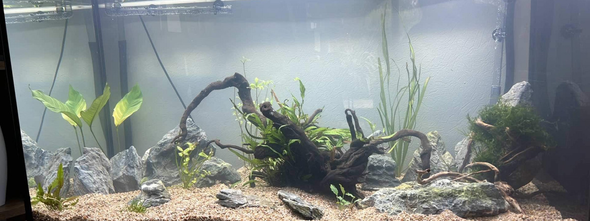 aquarium Aqua360