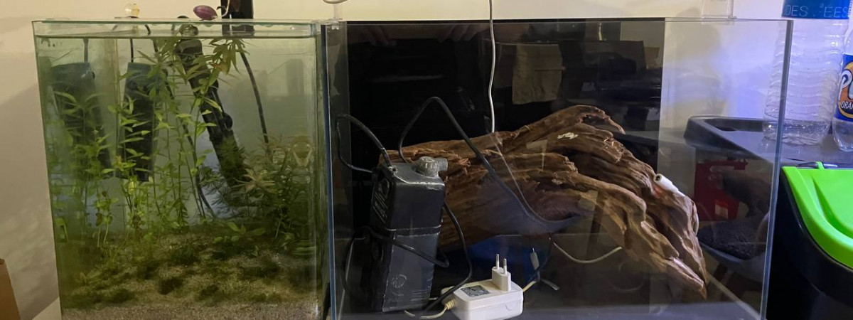 aquarium biotop