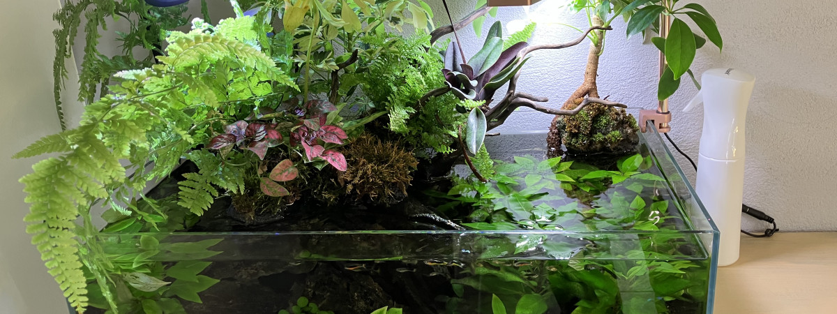 aquarium Nature