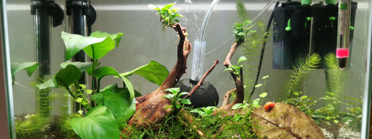 aquarium Aqua 20L