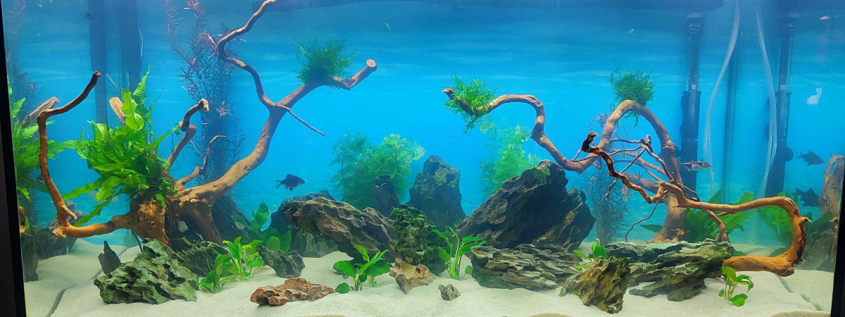 aquarium kpom