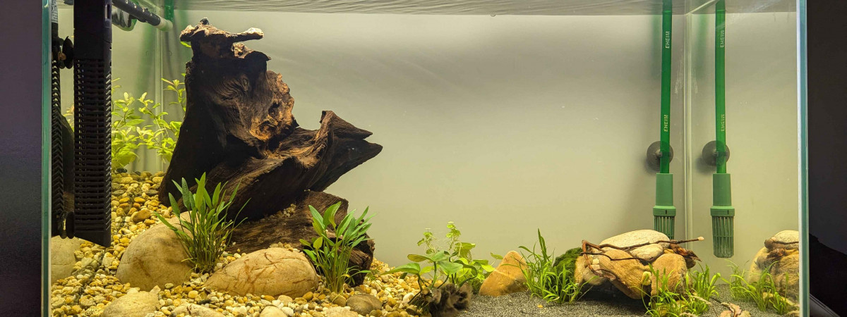 aquarium 150L
