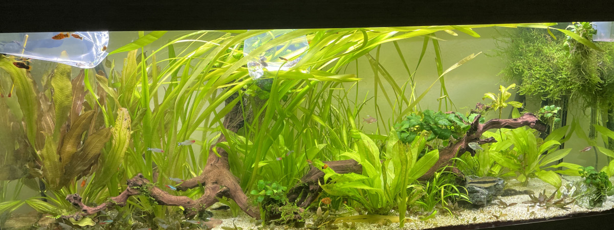 aquarium Aquatlantis