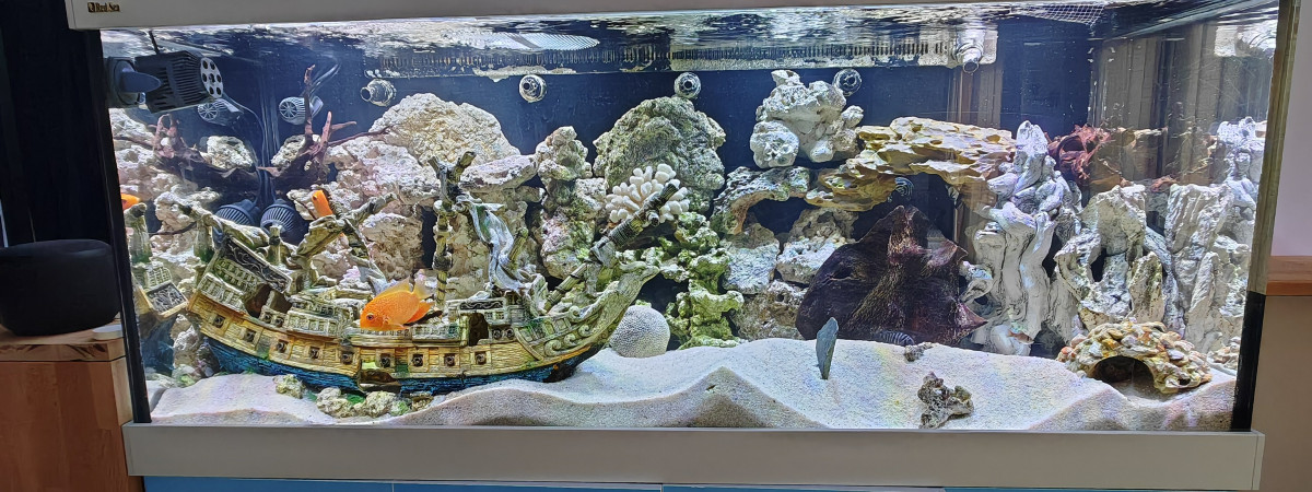 aquarium RedSea S650 MAX