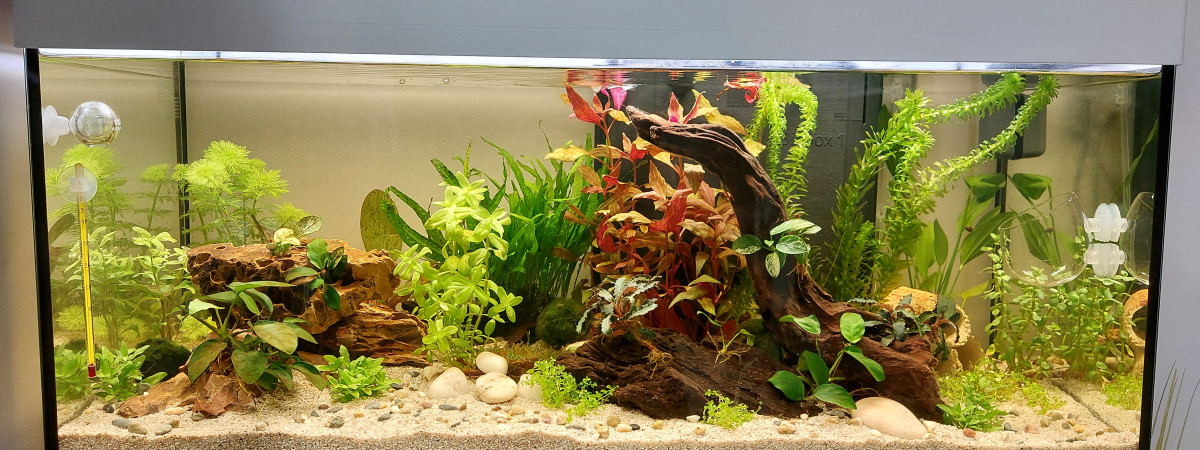 aquarium Aquarium Prestige 85L