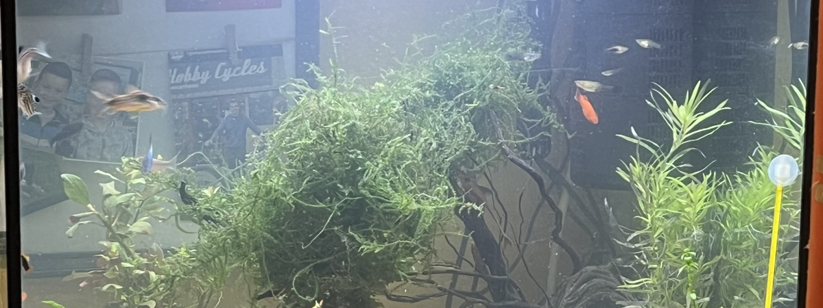 aquarium Aqua140