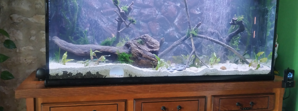 aquarium 500L