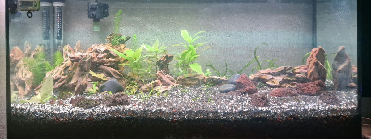 aquarium 90l filtre sous sable