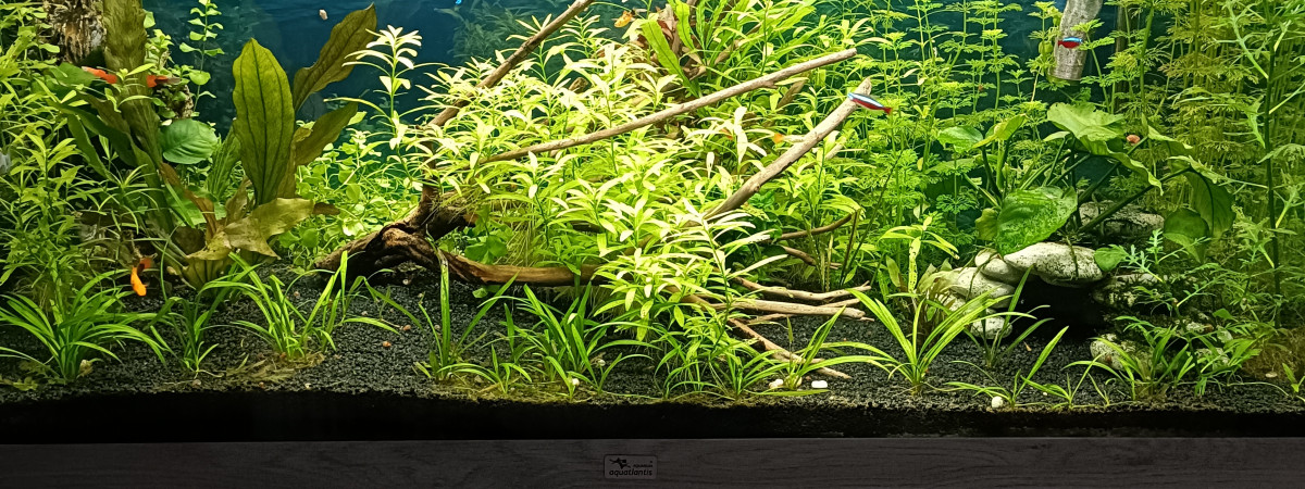 aquarium SABRINA