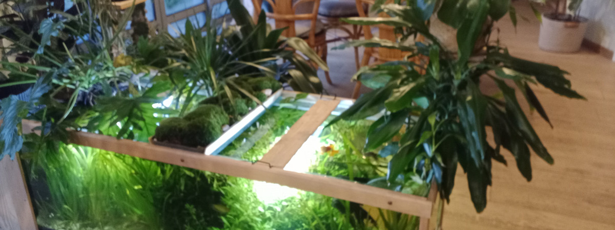 aquarium Le 400