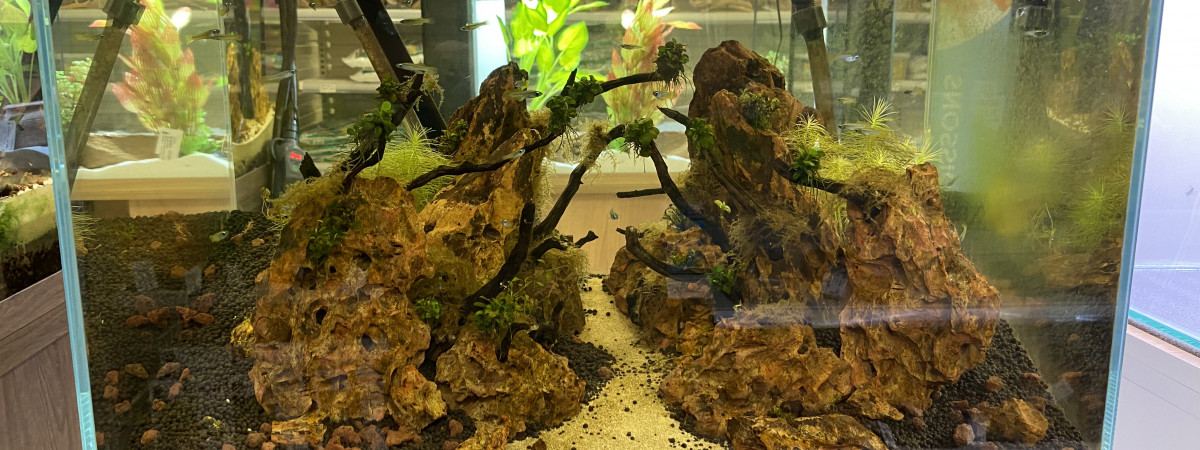 aquarium 13 aout 2024