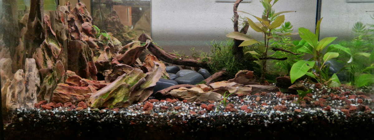 aquarium 40l