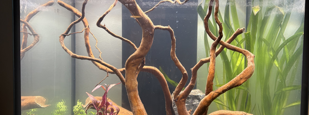 aquarium Aqua Tower 163