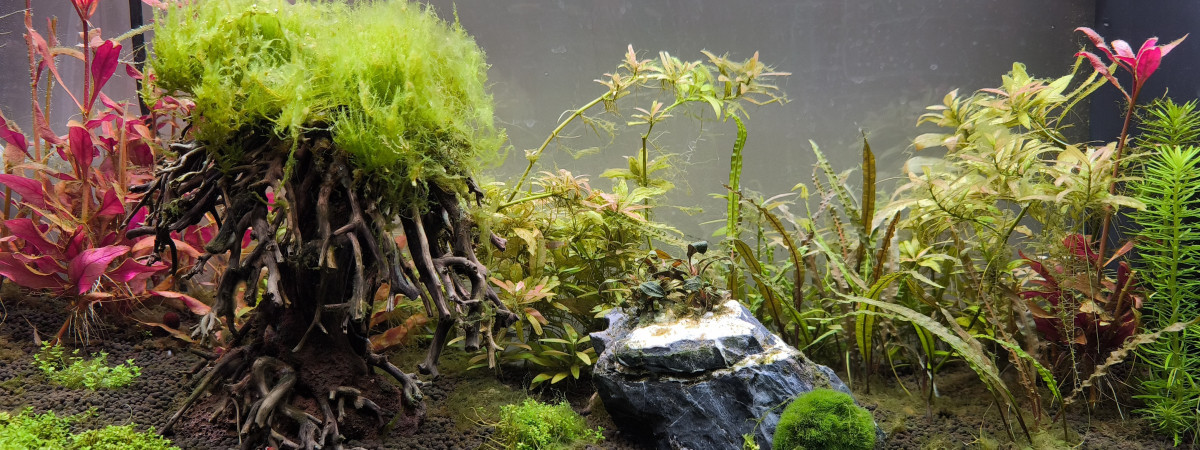 aquarium Rio 125