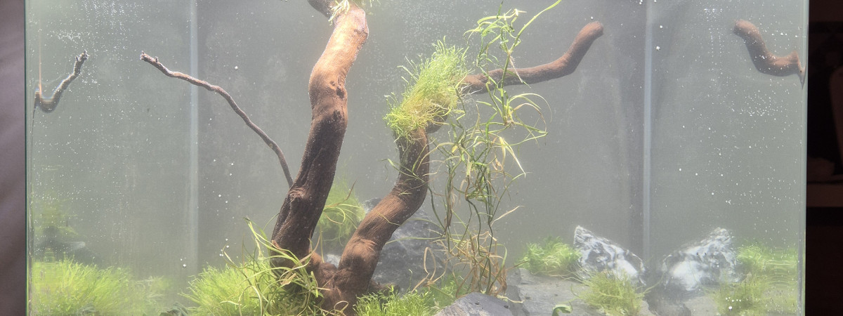 aquarium Le Cube