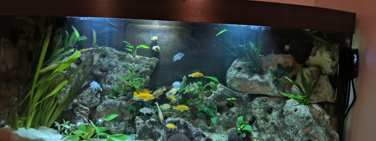 aquarium Mamawi
