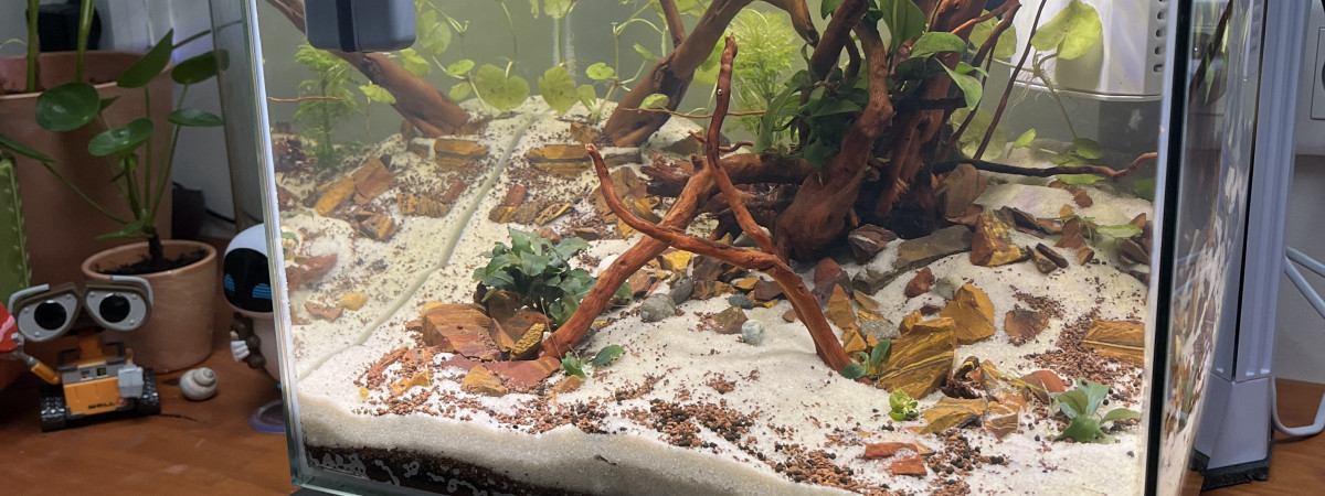 aquarium Test 1
