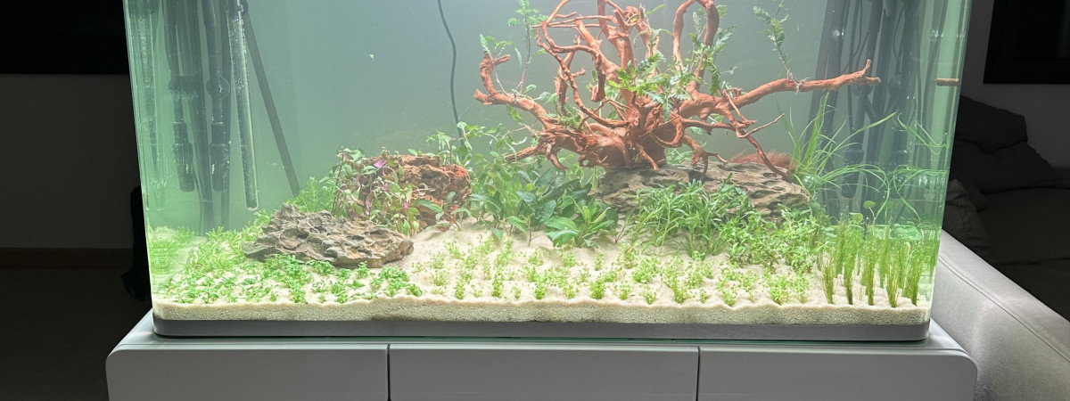 aquarium Osaka 320L