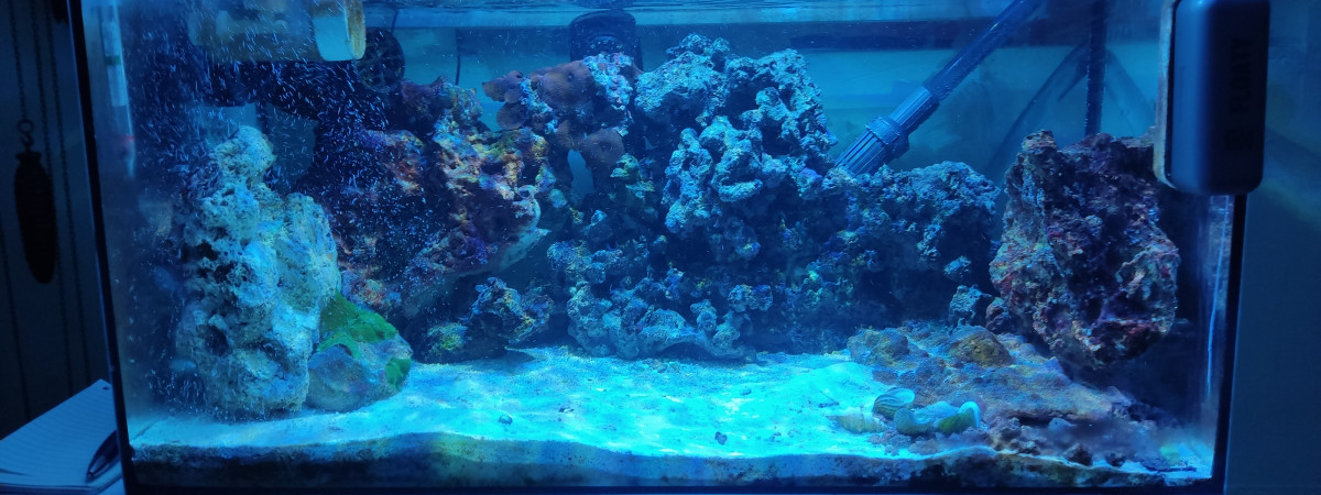 aquarium Polo68