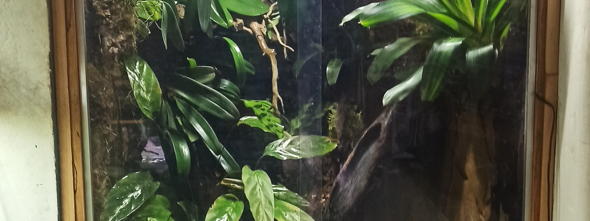 aquarium Grand paludarium