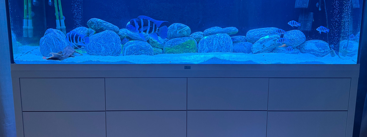 aquarium Aquatlantis Sublime 1000L
