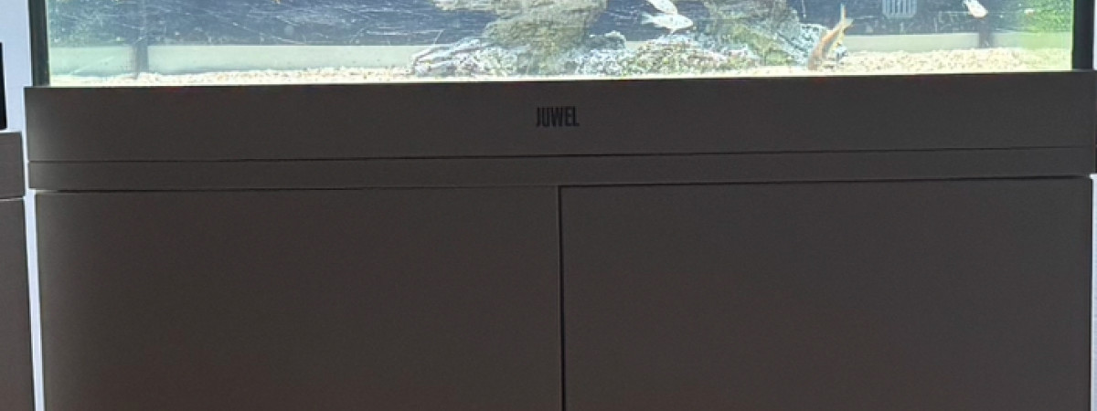 aquarium juwel 200