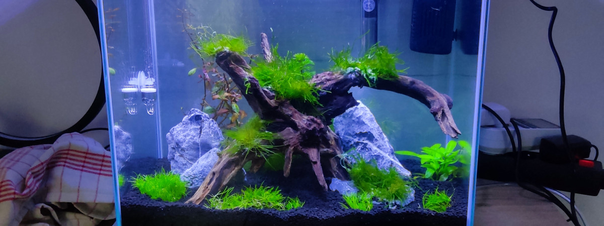 aquarium Zolux 40L