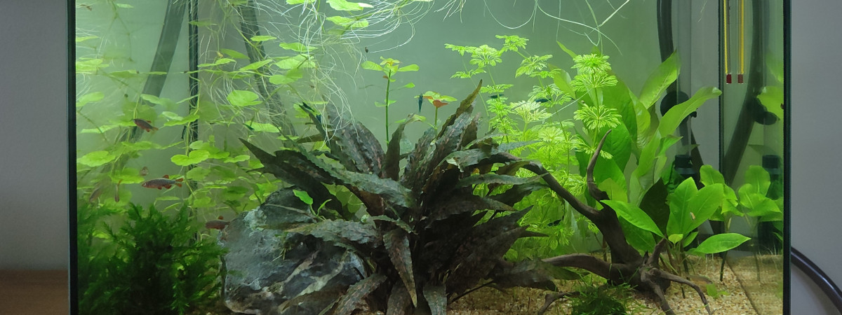 aquarium zolux idro 50
