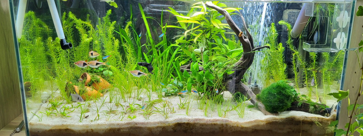 aquarium Aqualand