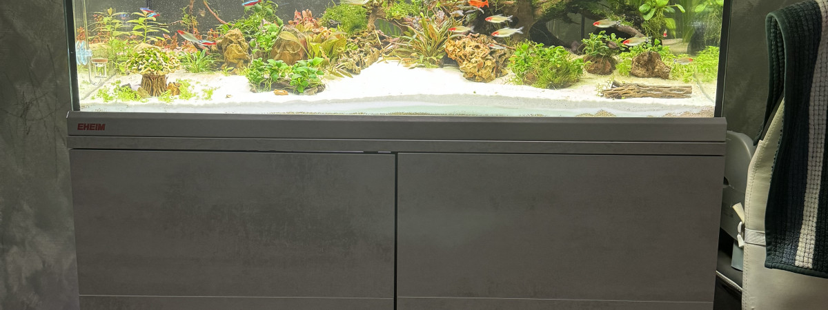 aquarium EHEIM Proxima 250