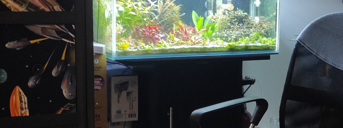 aquarium Hollandais