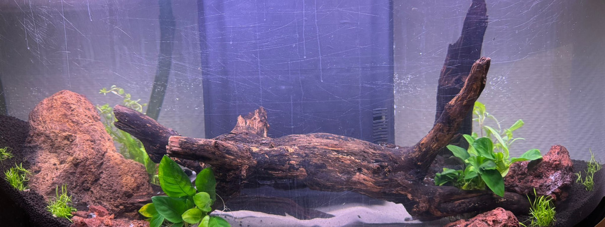 aquarium aquarium de sauvetage