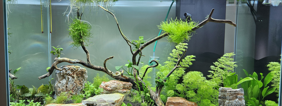 aquarium grand aqua