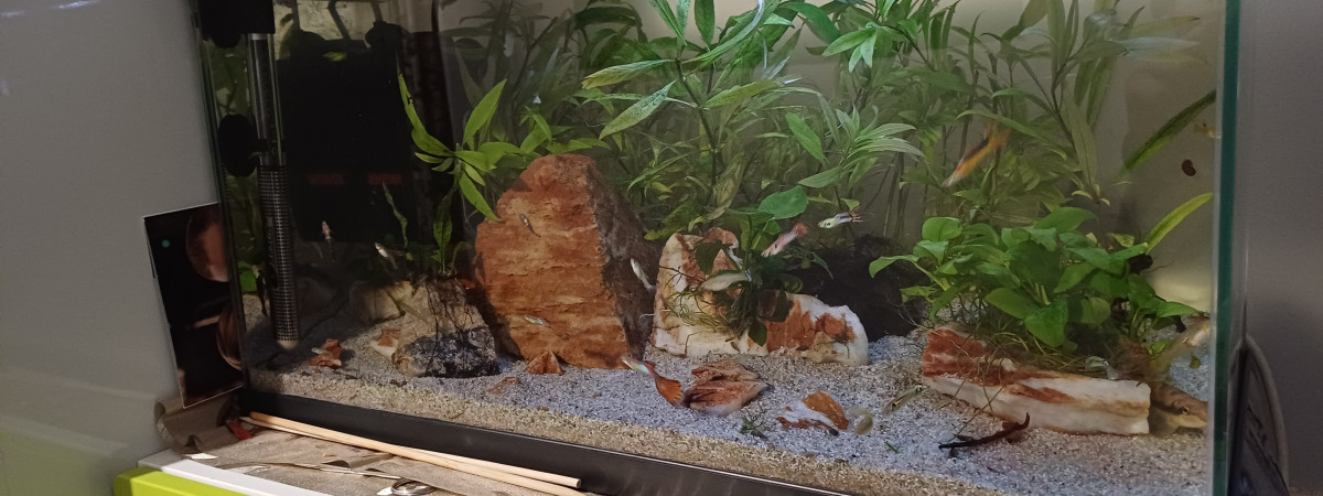 aquarium Aquarium 60L
