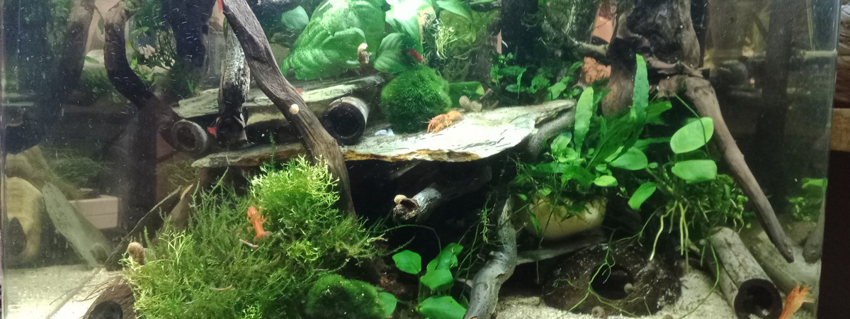 aquarium le cpo
