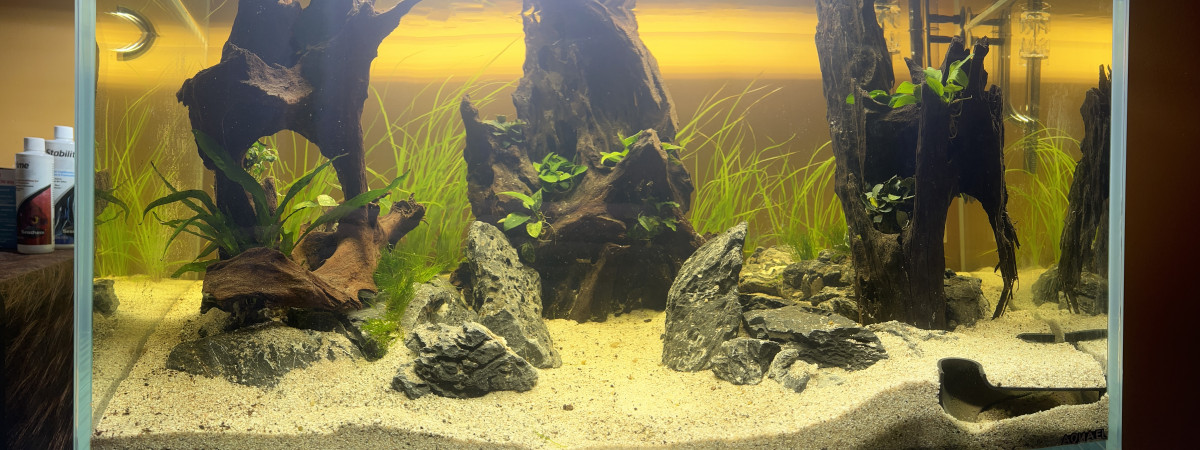 aquarium Aquael Ultrascape 90