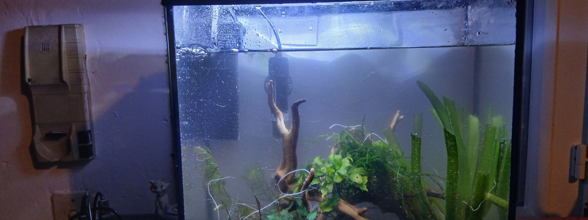 aquarium Aqua Betha