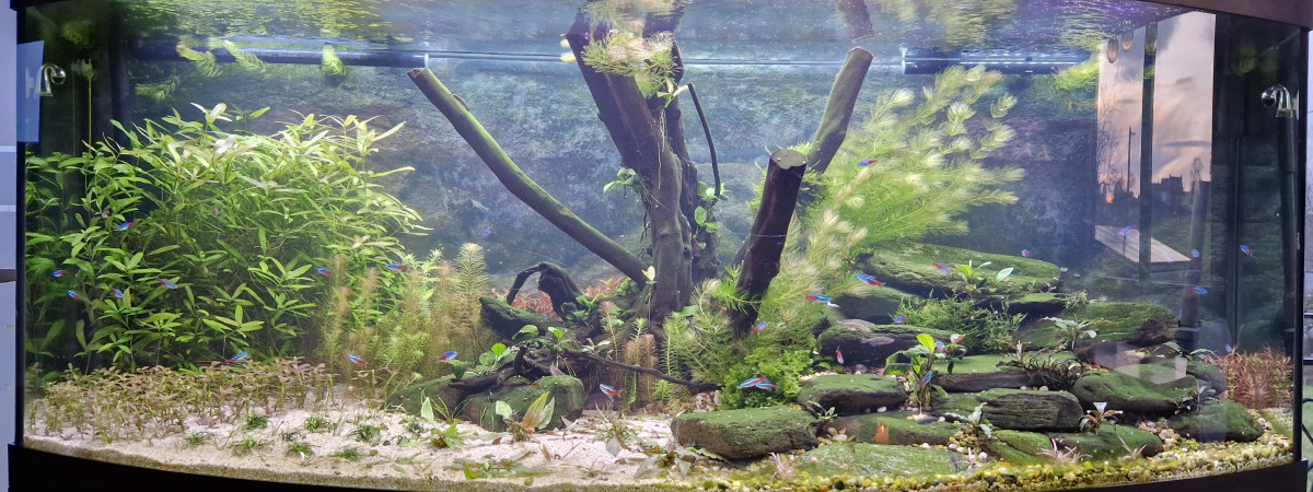 aquarium Juwel vision 450