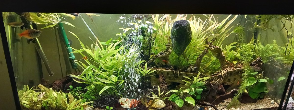 aquarium Aqua