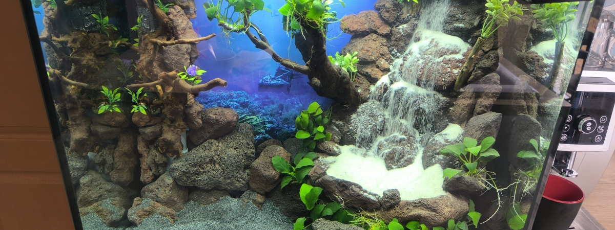 aquarium Juwel 120 l
