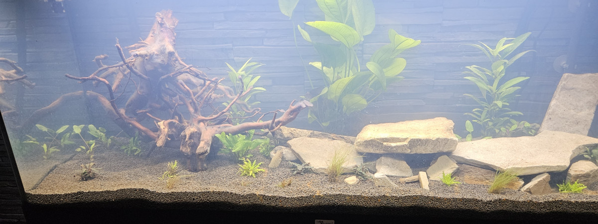 aquarium santuaire