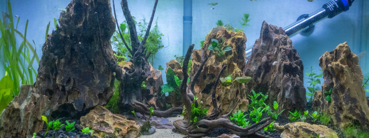 aquarium La vallée des Dragons