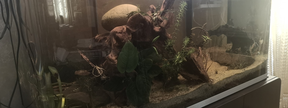 aquarium Osaka 220L Patchwork