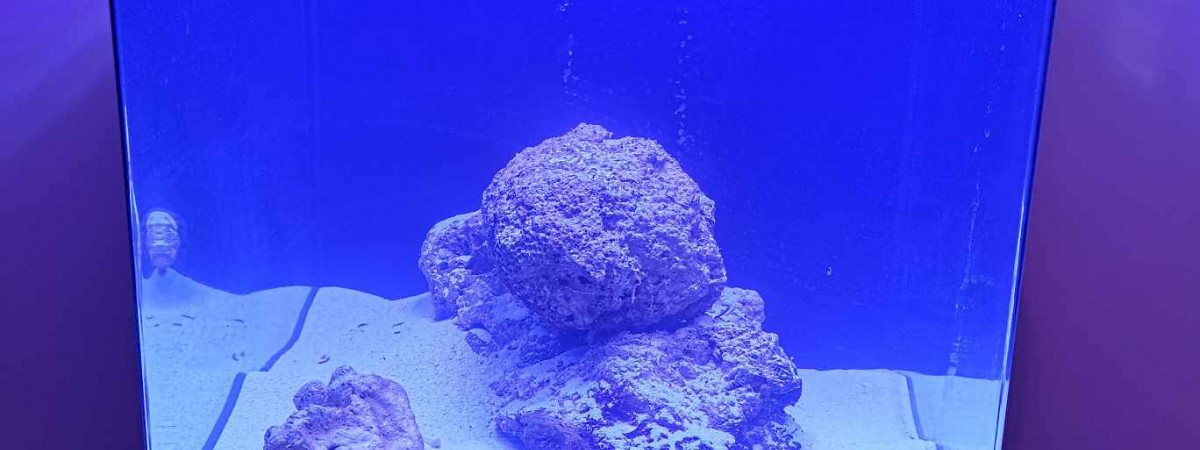 aquarium Aquarium Marin