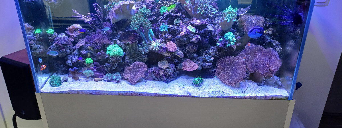 aquarium Marin 400l