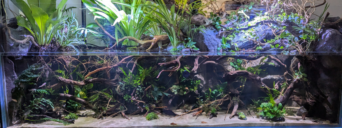 aquarium Shallow